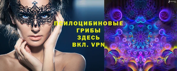 не бодяженный Нязепетровск